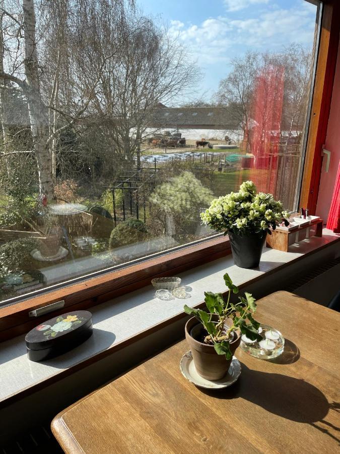 Appartamento Retro Bolig - Fyldt Med Hygge! Ingen Luksus Kolind Esterno foto